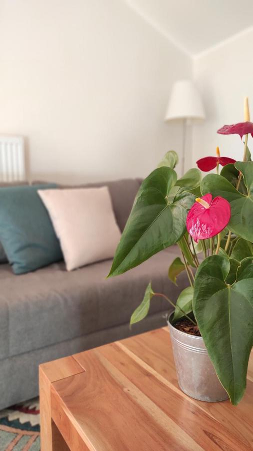 Ferienwohnung Eule ปาร์ชีเนส ภายนอก รูปภาพ